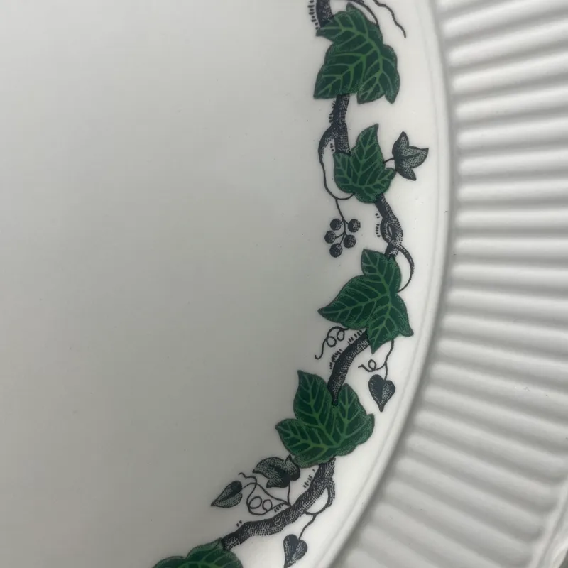 Wedgwood Stratford dinner plate 26.5cm 3 Detail shot of the delicate green ivy leaf decor on the rim of a Wedgwood Stratford plate.